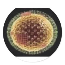 THE VIRUS 2009 ROUND STICKERS