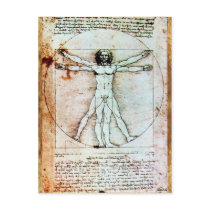 THE VITRUVIAN MAN  Parchment