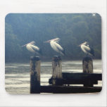 the wait mousepad