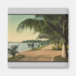 The walk at Palm Beach rare Photochrom Magnet