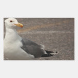 The Watcher - Seagull Rectangle Sticker