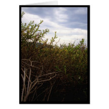 The way out greeting card