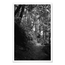 The Way Photograph