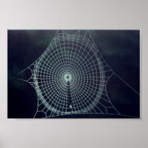 The Web Poster