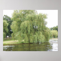The Weeping Willow Posters