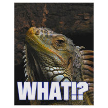 The What!? Iguana Full Color Flyer