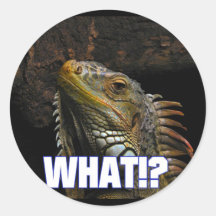 The What!? Iguana Round Sticker