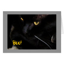 The Whisker Greeting Card