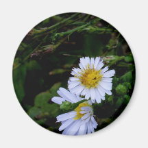 The white flower fridge magnet