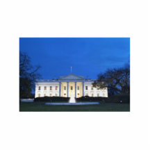 The White House. Photo Sculpture