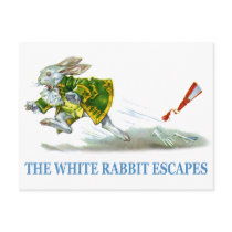 The White Rabbit escapes!