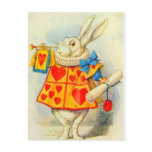 The White Rabbit Full Color Postcard