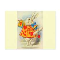 The White Rabbit Full Colour