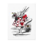 The White Rabbit postcards