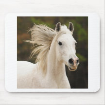 The White Stallion Mouse Pads