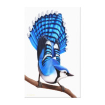 The Wild Blue Jay Bird Wrapped Canvas Canvas Prints