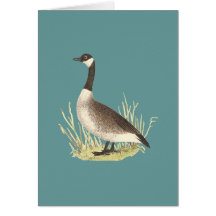 The Wild Goose	(Anser canadensis) Card