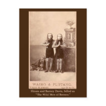 The Wild Men of Borneo on Cards, Postcards