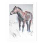 The Wild One Postcard