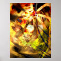 The Wild posters