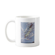 The Wild Swans mugs