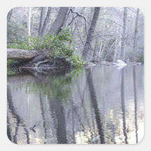 The wilderness square sticker