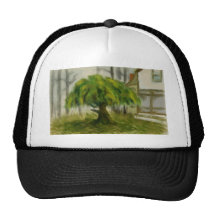 The Willow Hats