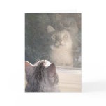 The Window Greeting Card