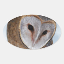 The wise old owl oval stickers