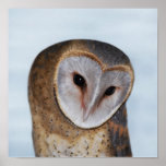 The wise old owl posters