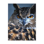 The Wise One Postcard