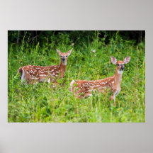 The Wonder Of It All Print