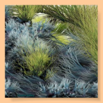 The Wonder of Prairies posters