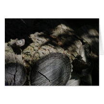 The wood pile cards