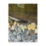 The Wood Pile Post Cards
