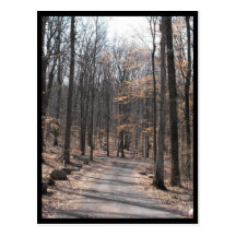 the Woods ~ 50 Postcards