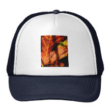 the years before hats