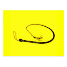 THE YELLOW WHIP POSTCARD