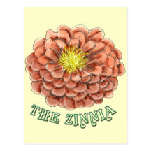 The Zinnia postcard (portrait)