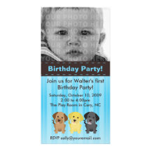 Thee Labradors Blue Birthday Invitation Photo Cards