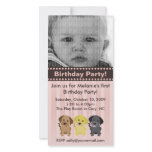 Thee Labradors Pink Birthday Invitation photo cards