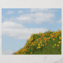 Theme Paper Flyers Blue Sky White Clouds Poppies