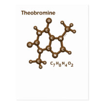Theobromine Postcard