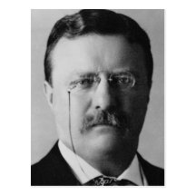 Theodore Roosevelt 26 Post Card
