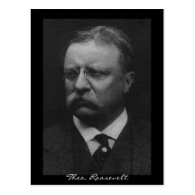 Theodore Roosevelt Cartes Postales