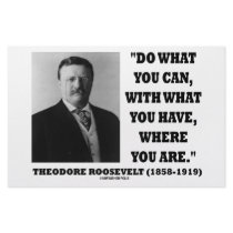 Theodore Roosevelt Do What You Can Quote