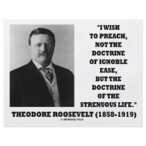 Theodore Roosevelt Doctrine Strenuous Life Flyers