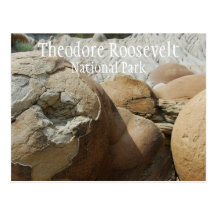 Theodore Roosevelt National Park Postcard