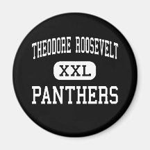 Theodore Roosevelt - Panthers - High - Gary Magnet