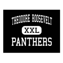 Theodore Roosevelt - Panthers - High - Gary Post Card